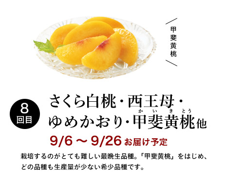 頒布会 一宮大地の桃七会 800g 有機野菜や自然食品の購入は大地を守る会のお買い物サイト