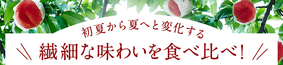 初夏から夏へと変化する 繊細な味わいを食べ比べ!