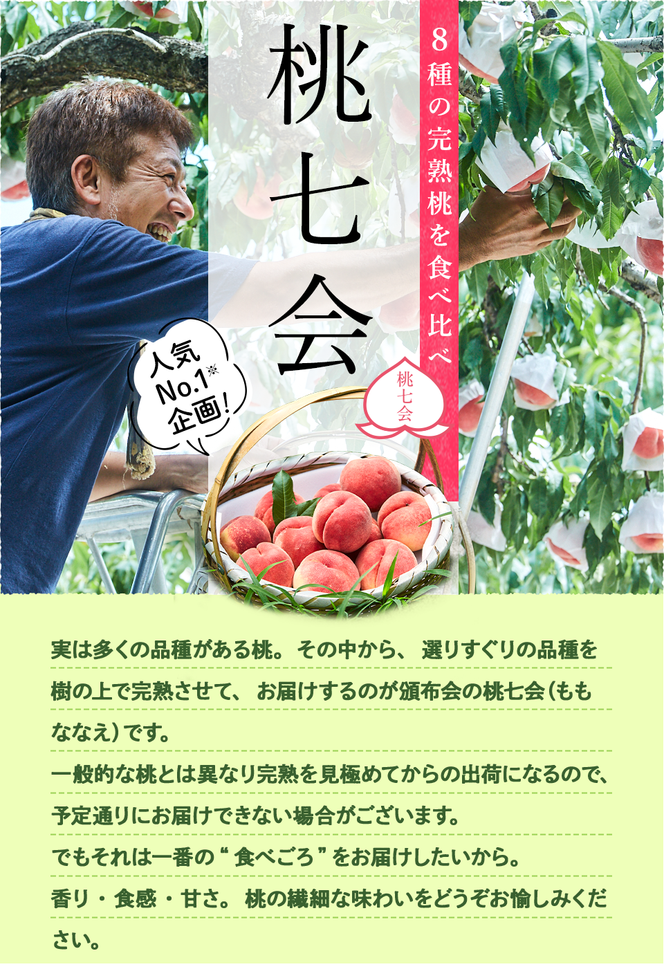 桃七会