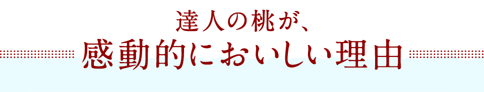 達人の桃が、感動的においしい理由
