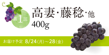 第1回 高妻・藤稔・他
