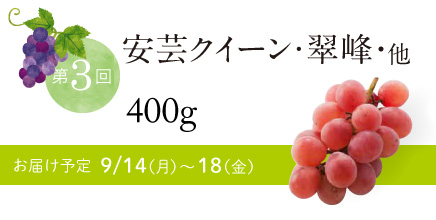 第3回 安芸クイーン・翠峰・他