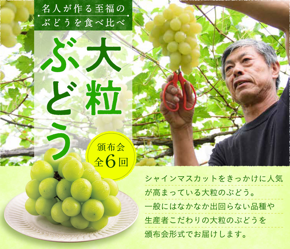 名人が作る至福のぶどうを食べ比べ 大粒ぶどう
