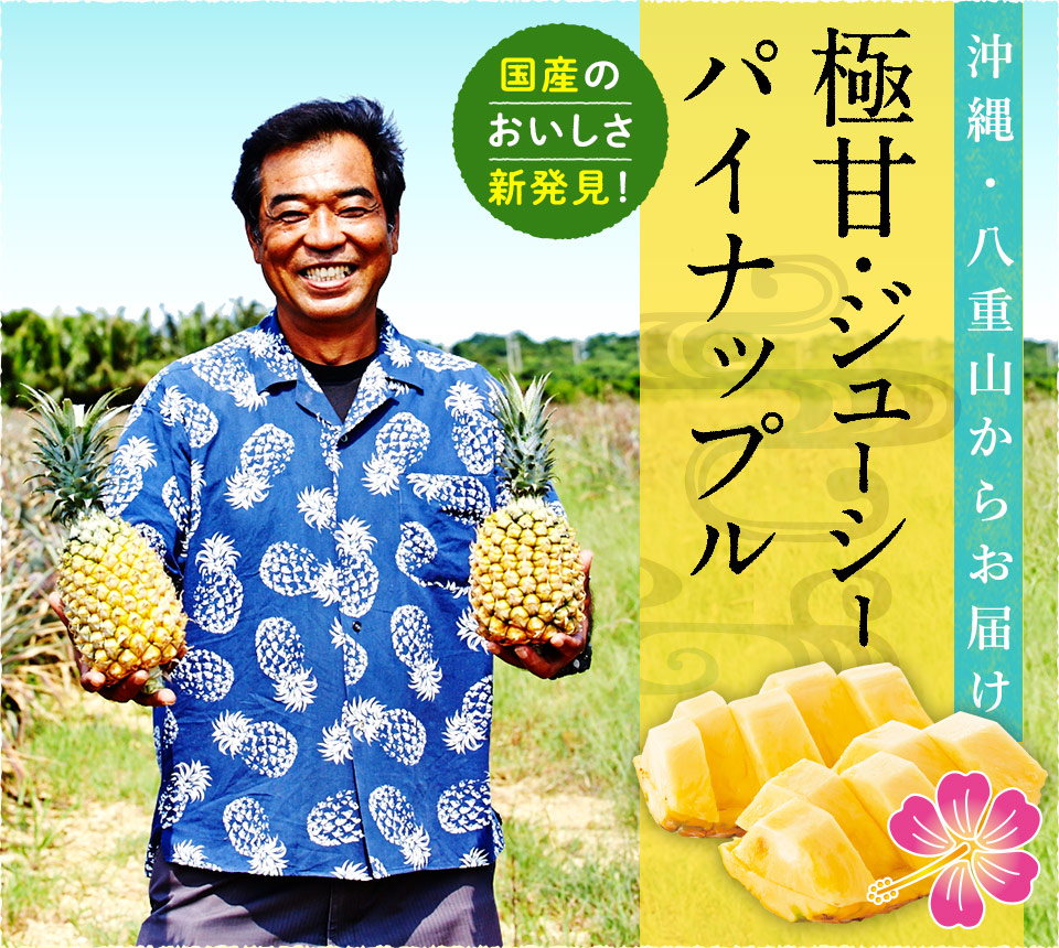 沖縄・八重山からお届け 極甘・ジューシーパイナップル 国産のおいしさ新発見!