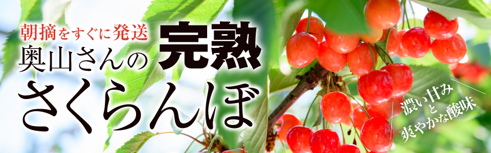 奥山さんのさくらんぼ