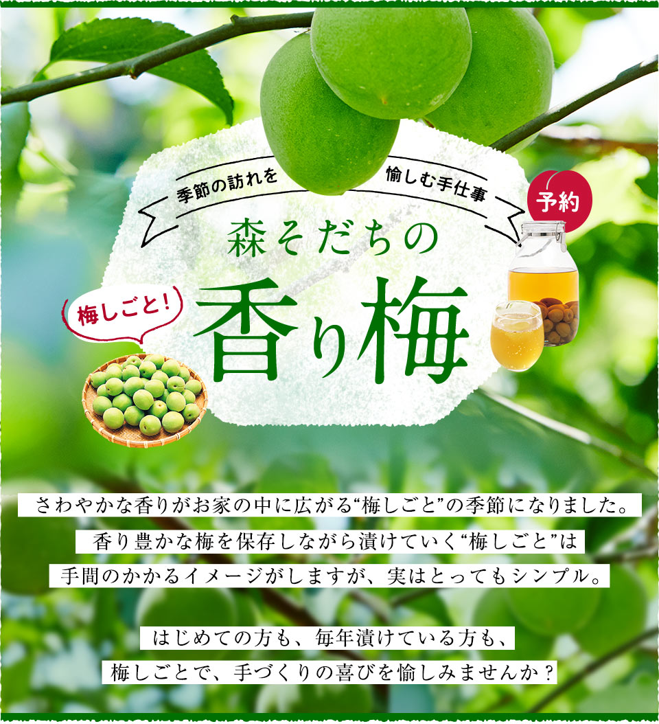 季節の訪れを愉しむ手仕事 森そだちの香り梅