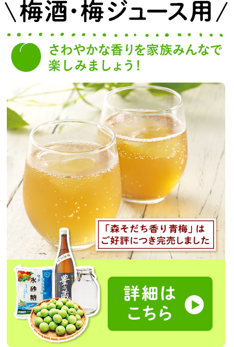 梅酒・梅ジュース用 詳しくはこちら