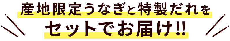 産地限定うなぎと特製だれをセットでお届け‼