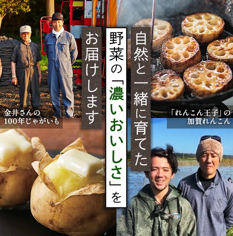 自然と一緒に育てた 野菜の「濃いおいしさ」を お届けします