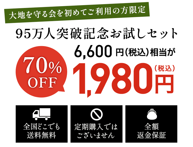お試しセット1980円（税込)