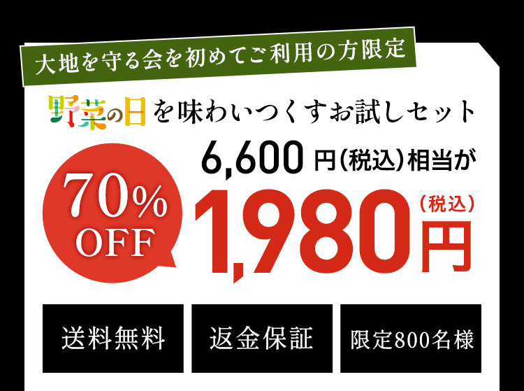 お試しセット1980円（税込)