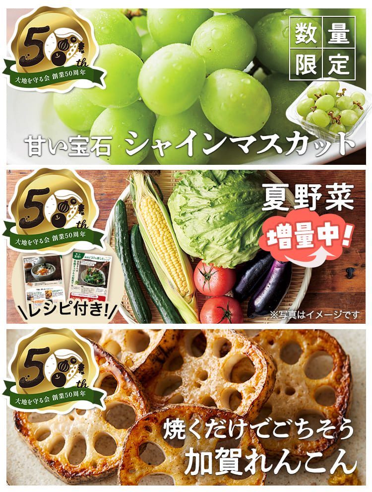 50周年記念セット