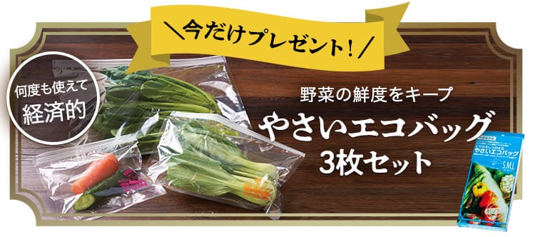 プレゼント
