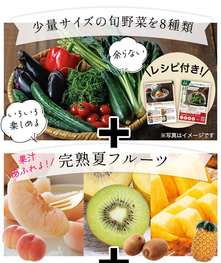 少量サイズの旬野菜を８種類
