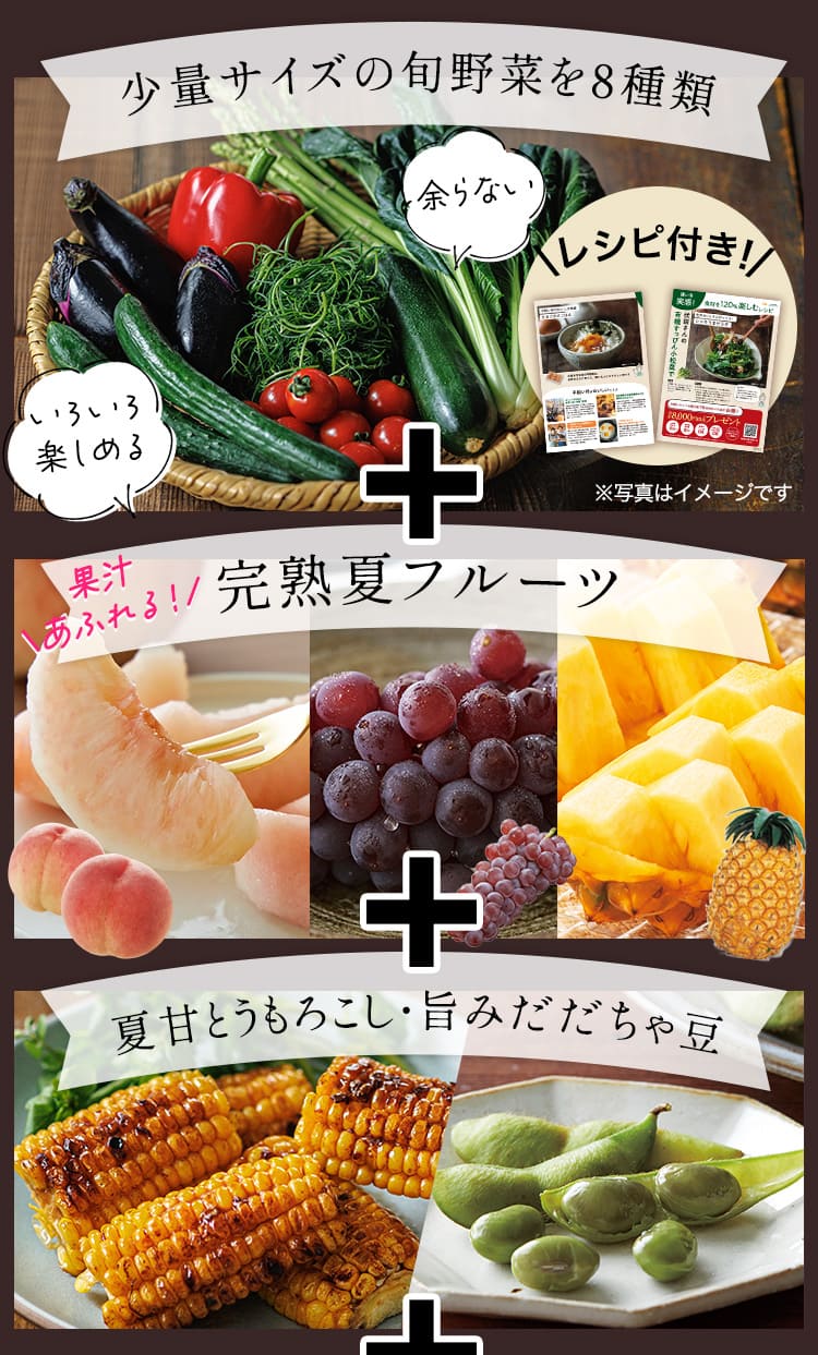 少量サイズの旬野菜を８種類