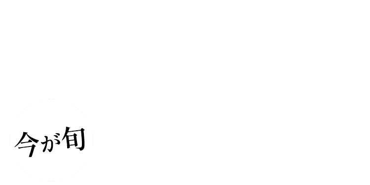 今が旬