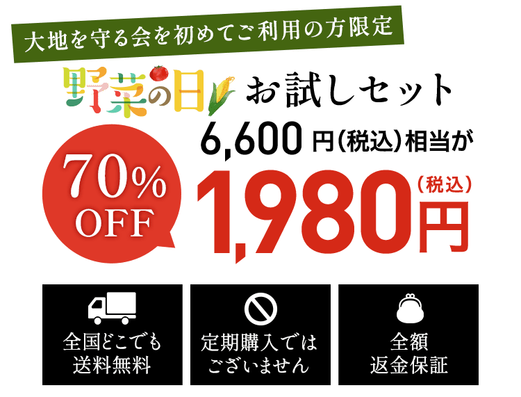 お試しセット1980円（税込)