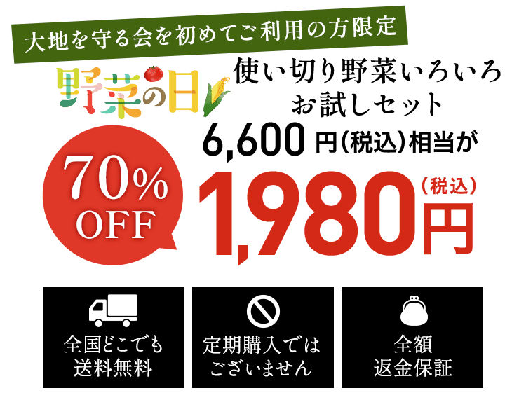お試しセット1980円（税込)