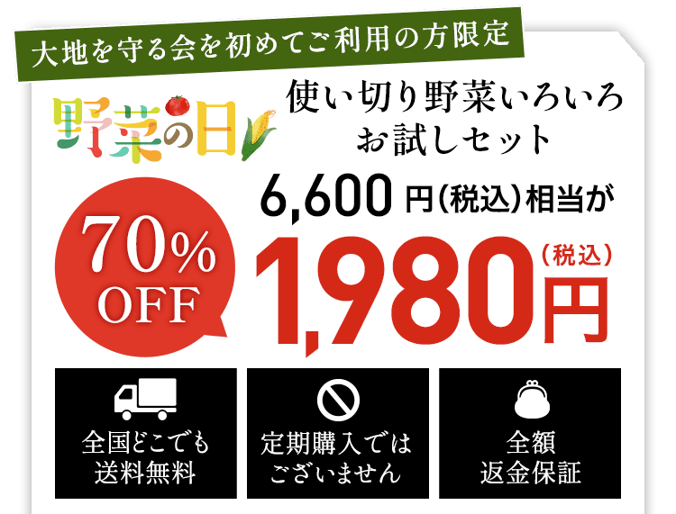 お試しセット1980円（税込)