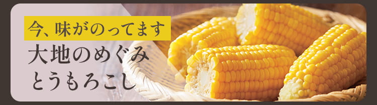 とうもろこし