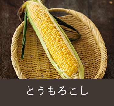 とうもろこし