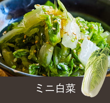 ミニ白菜