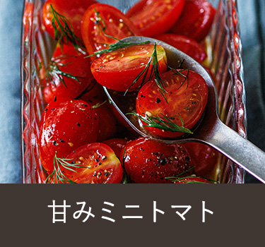 ミニトマト