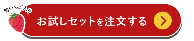 お試しセットを購入する