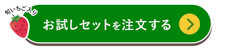 お試しセットを購入する