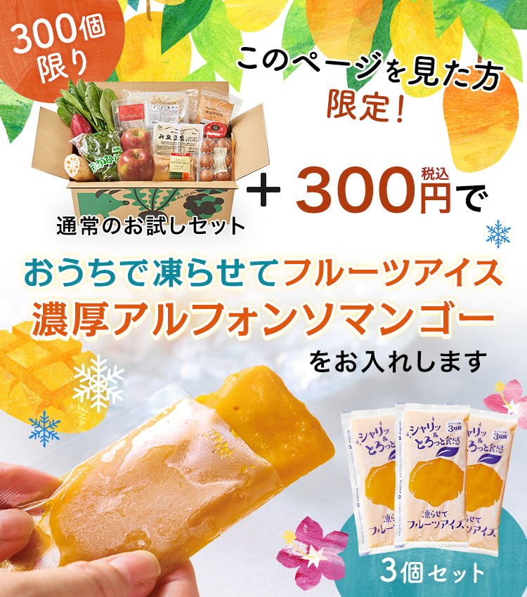 +300円でフルーツアイスをお入れします