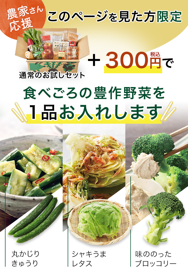 300円で豊作野菜を1品お入れします