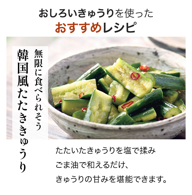 おすすめレシピ