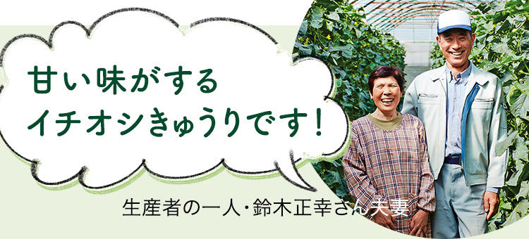 甘い味がするいちおしきゅうりです
