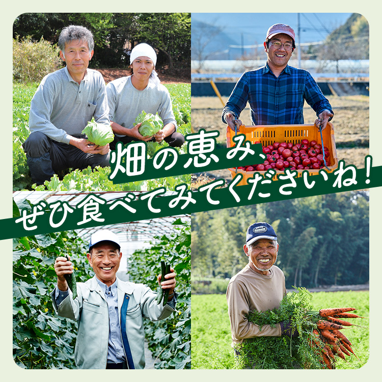畑の恵み食べてみて