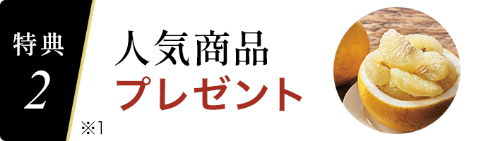 特典2
