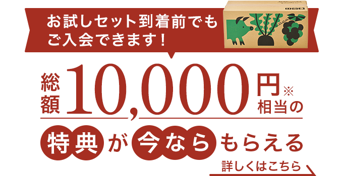 お試しセット到着前でも入会できます