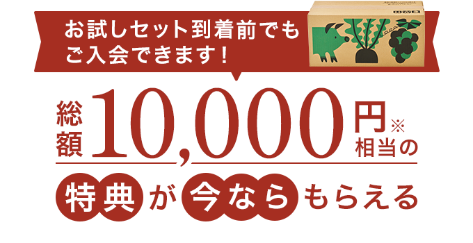 お試しセット到着前でも入会できます