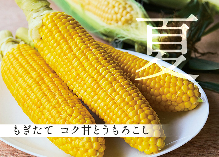 夏