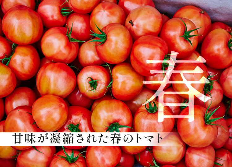 春