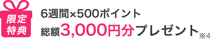 限定特典