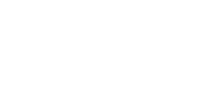 49周年