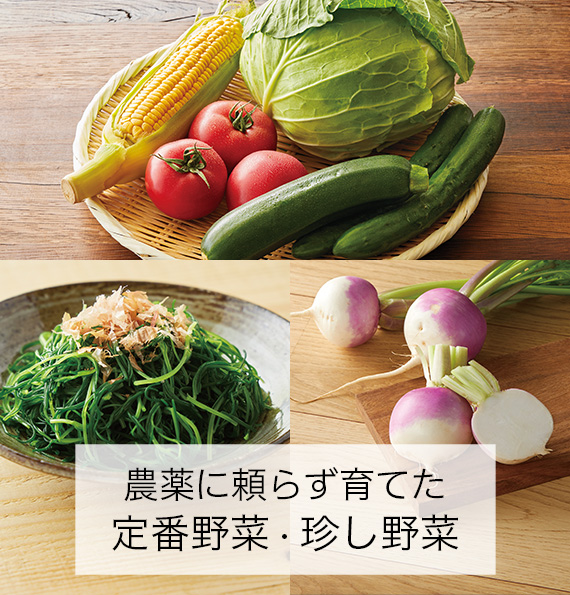 野菜