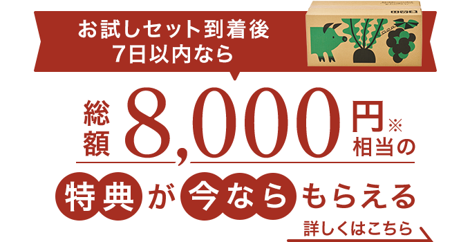 お試しセット到着前でも入会できます