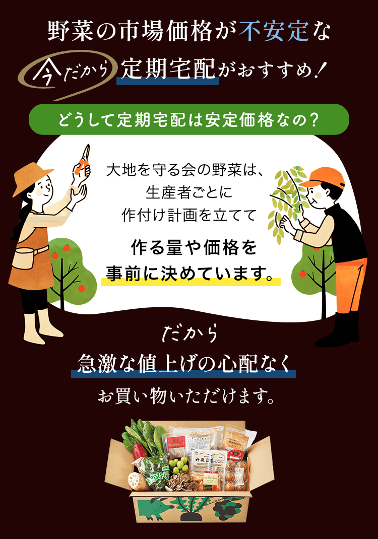 野菜の市場が不安定な今だからこそ定期宅配がおすすめ