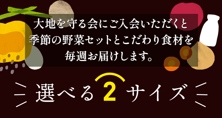 選べる2サイズ