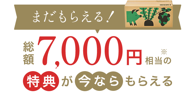 いまなら総額7,000円※相当のプレゼント
