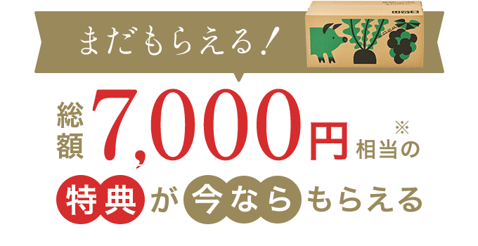 総額7,000円相当プレゼント