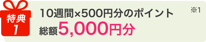 ポイントプレゼント