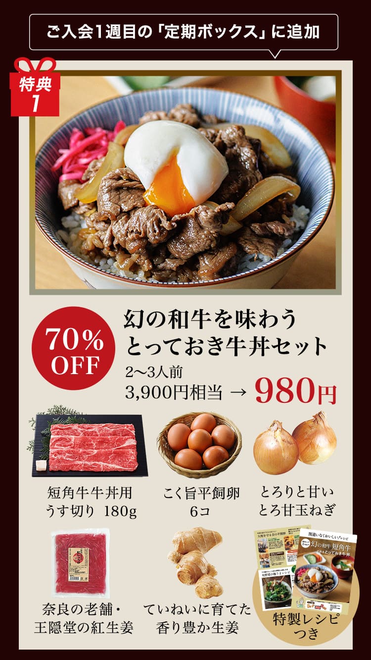 牛丼セット