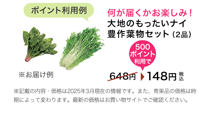 ポイント利用でお得に